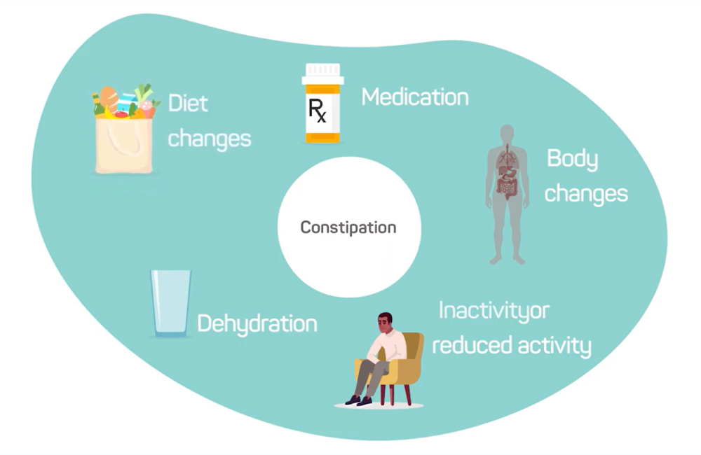 Constipation: During and After Cancer Treatment
